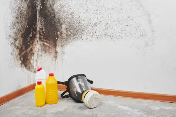 Water Damage Restoration in Ridgway, PA