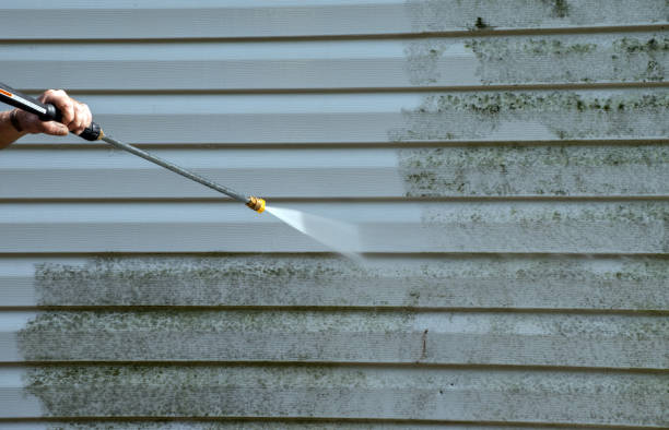 Best Fast Mold Removal  in Ridgway, PA