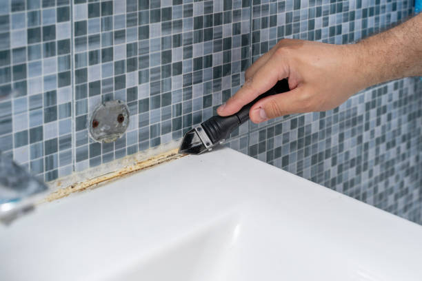 Best Mold Inspection  in Ridgway, PA