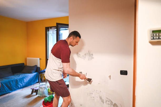 Best Best Mold Removal Companies  in Ridgway, PA